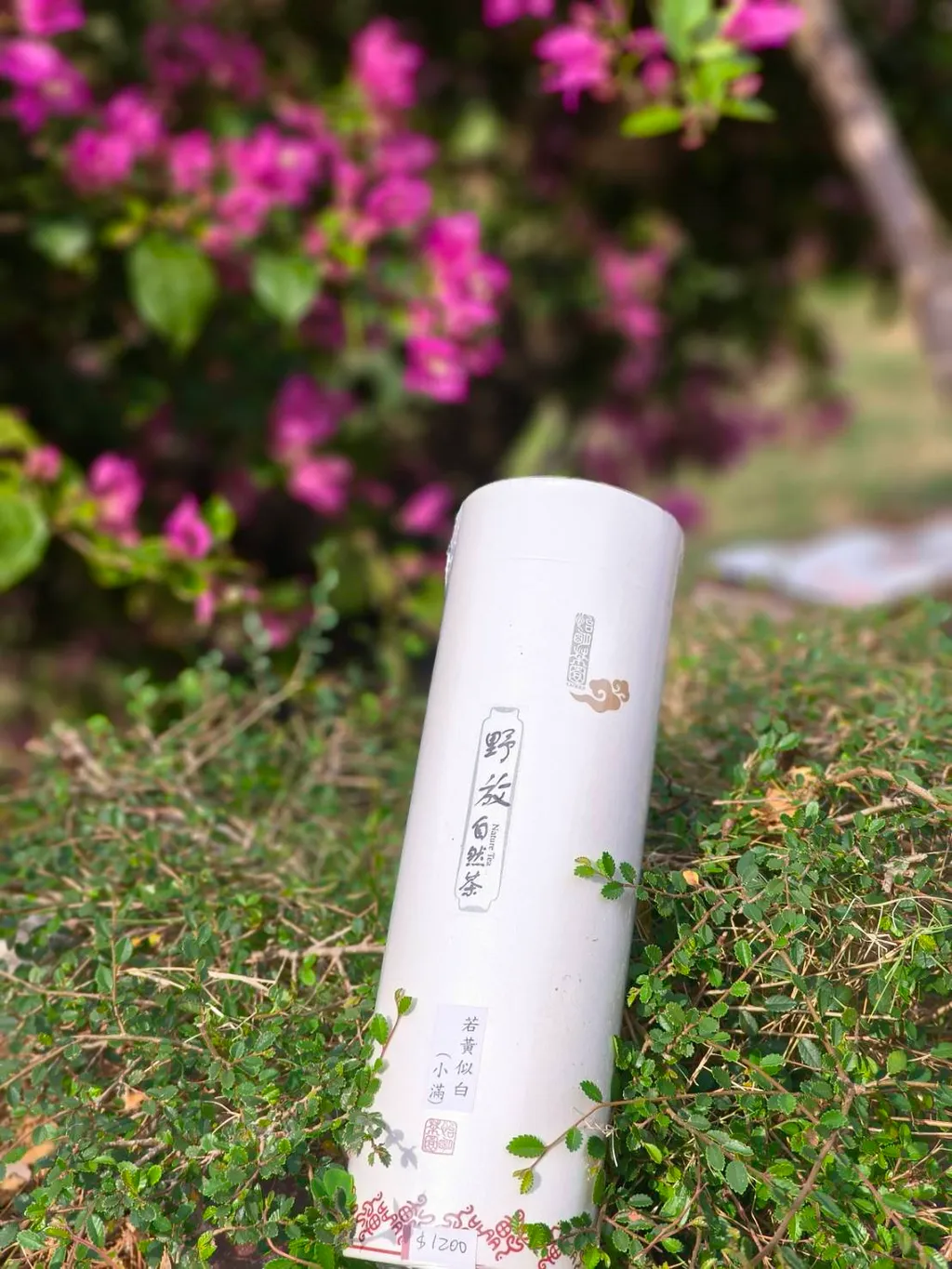 有機野放自然茶