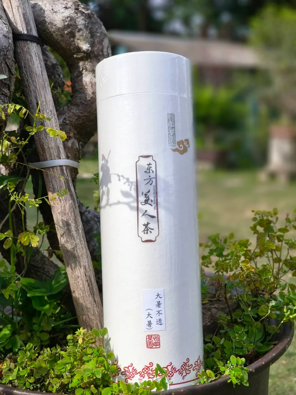 有機東方美人茶-2025