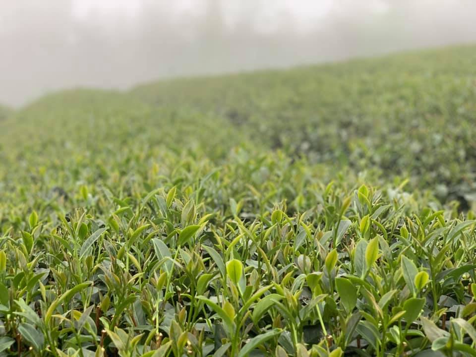達明農產行-農產品