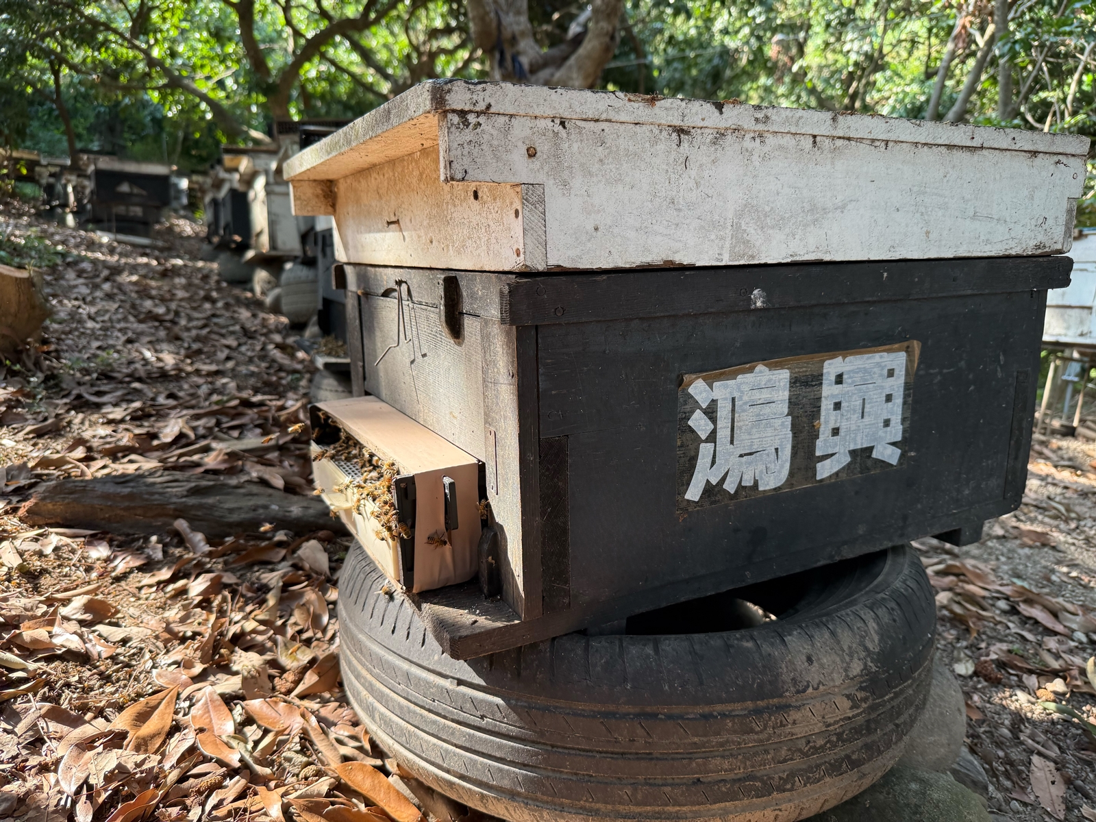 鴻興養蜂場