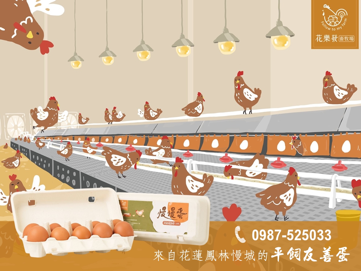 花樂發畜牧場 | 慢慢蛋 | 花蓮唯一水簾平飼友善蛋-農產品