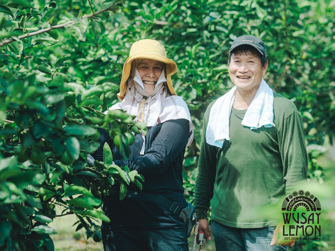舞賽檸檬 Wusay Lemon | 有機檸檬 | 無籽檸檬 | 檸檬乾 | 檸檬原汁-農產品