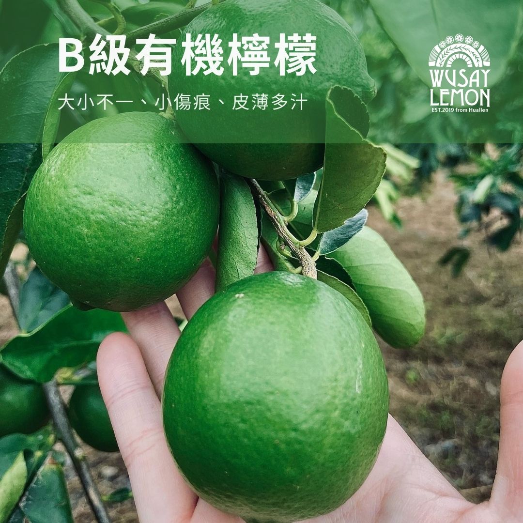 舞賽檸檬-有機無籽檸檬