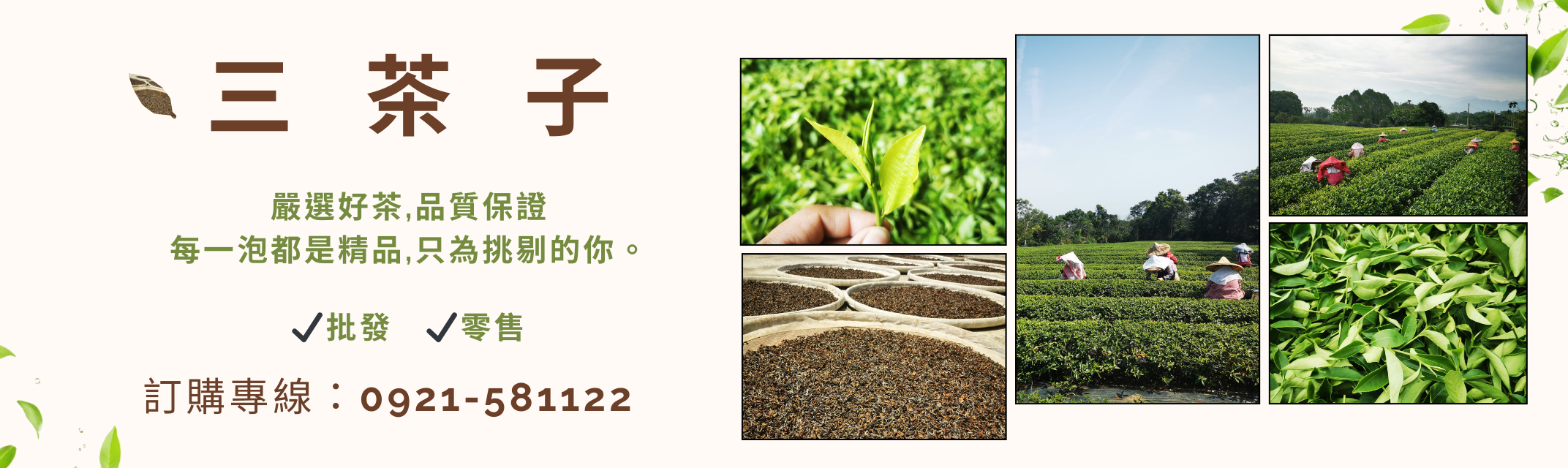 三茶子-南投茶葉｜南投茶葉批發-農產品
