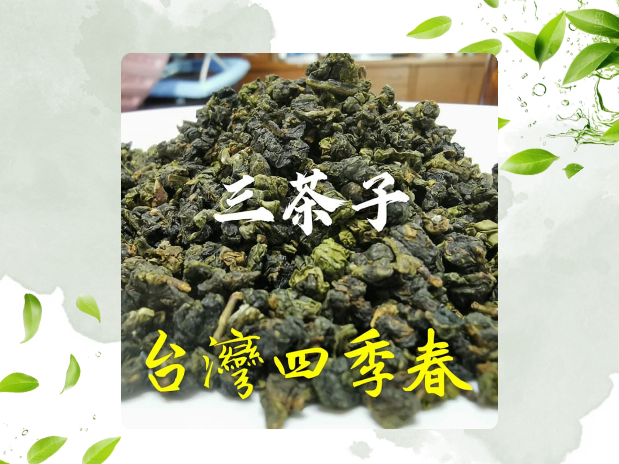 三茶子-南投茶葉｜南投茶葉批發-農產品
