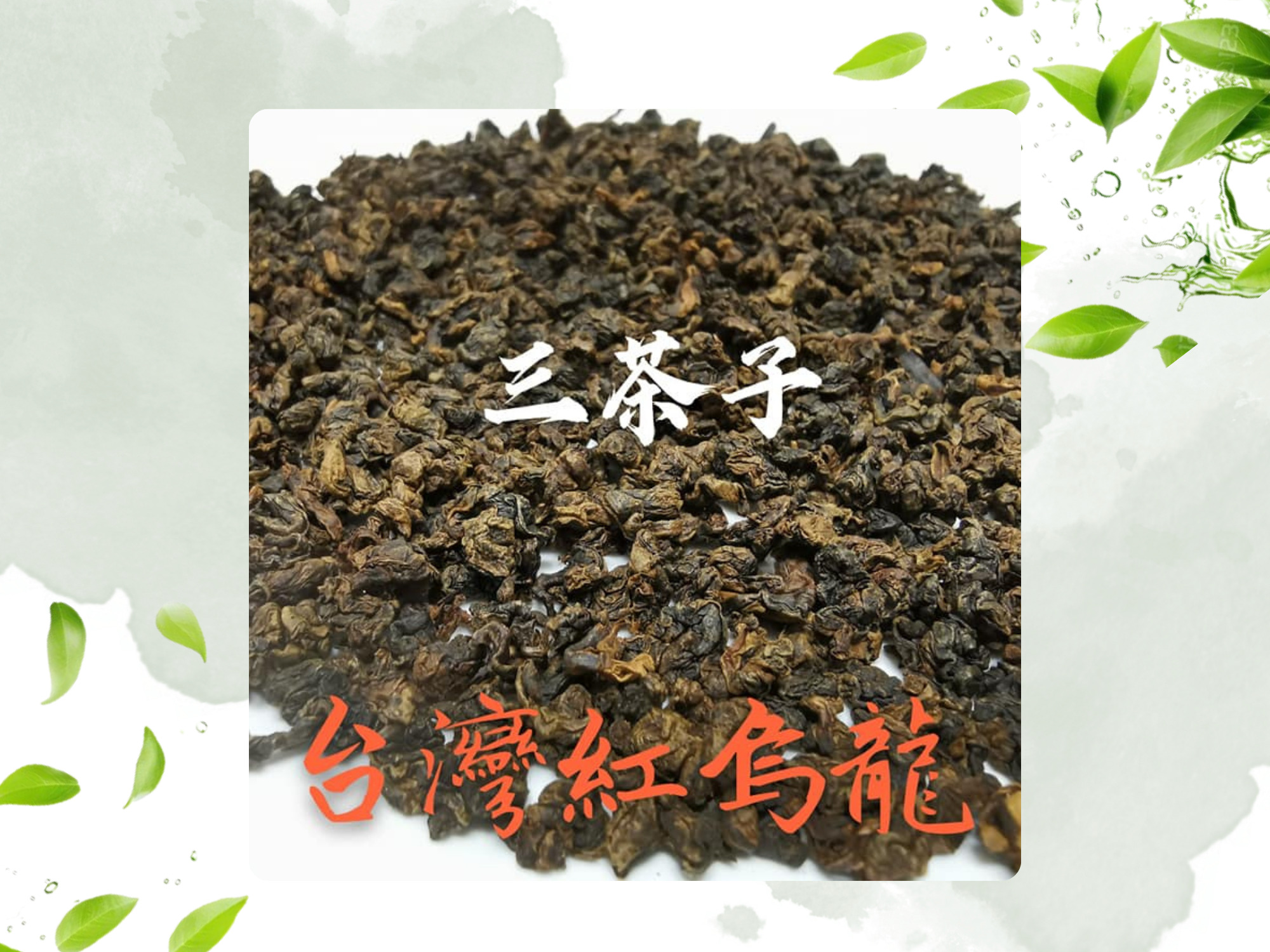三茶子-南投茶葉｜南投茶葉批發-農產品