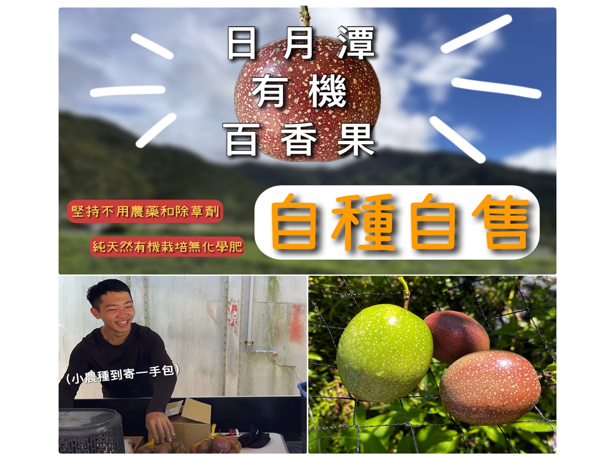 香夏所在-有機百香果-農產品