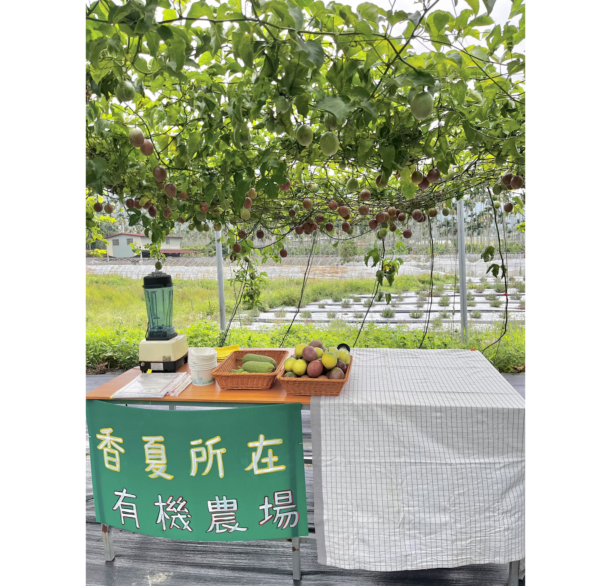 香夏所在-有機百香果-農產品