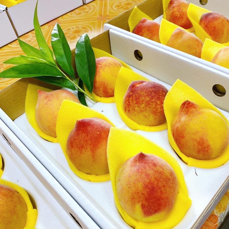 巫家黃金水蜜桃-大顆6入禮盒