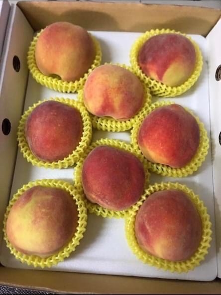 巫家黃金水蜜桃-中顆8入禮盒