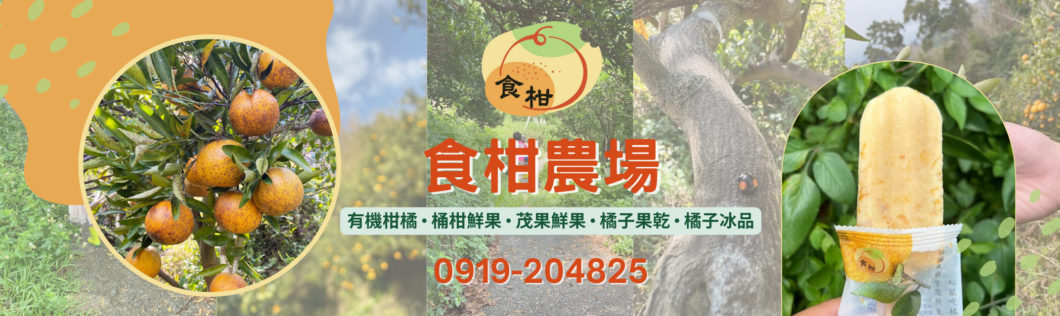 食柑農場 | 食柑石虎有機柑橘農場-農產品