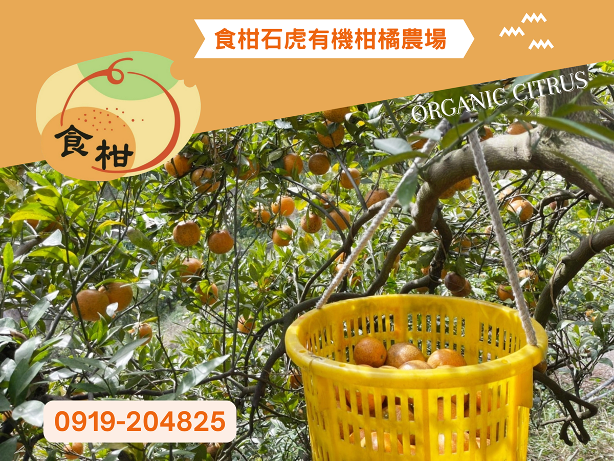 食柑農場 | 食柑石虎有機柑橘農場-農產品