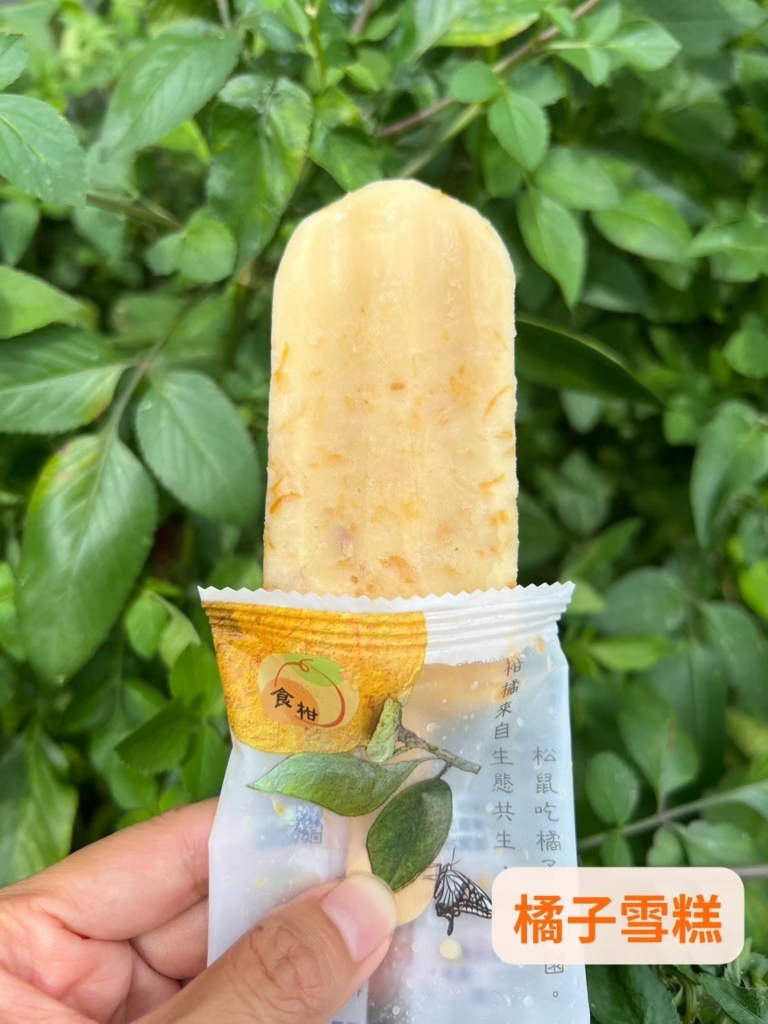 橘子雪糕