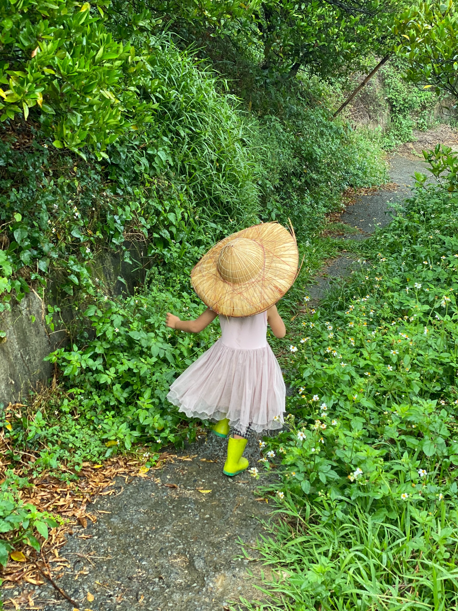 食柑有機柑橘農場