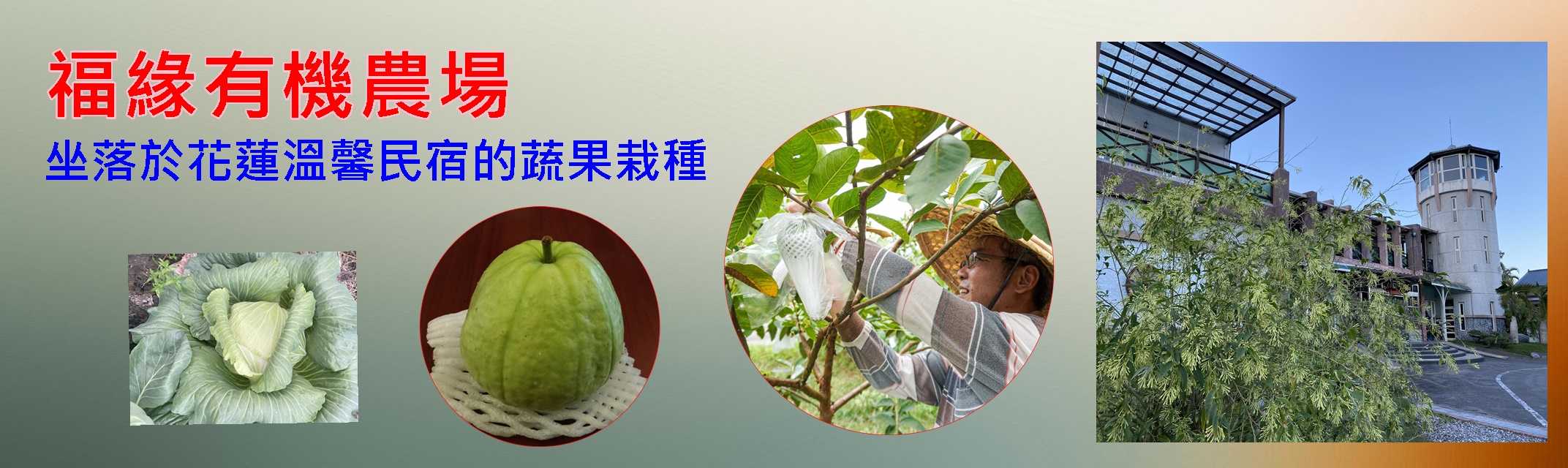 福緣有機農園-農產品