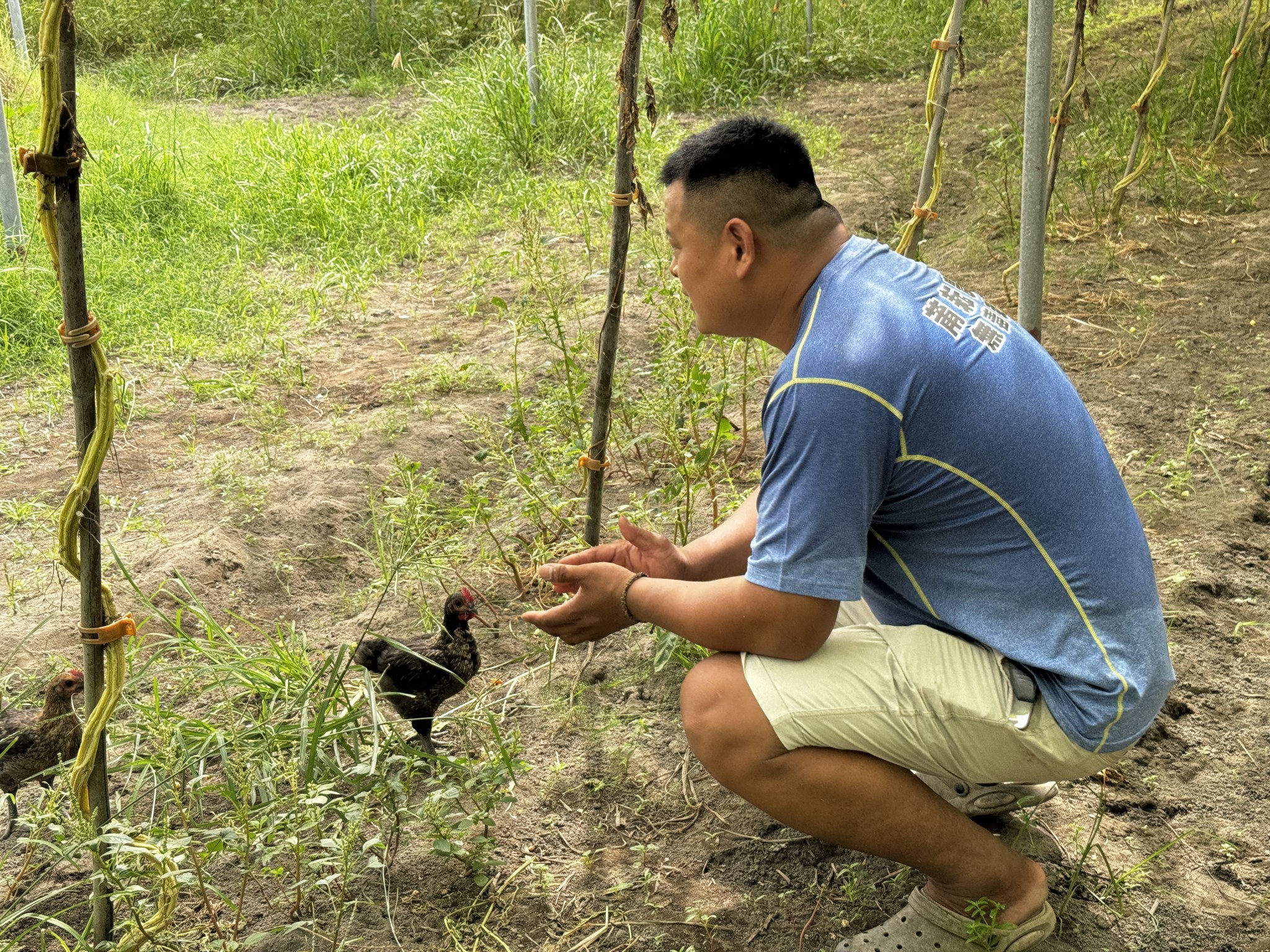 莆耘農場-有機農產品