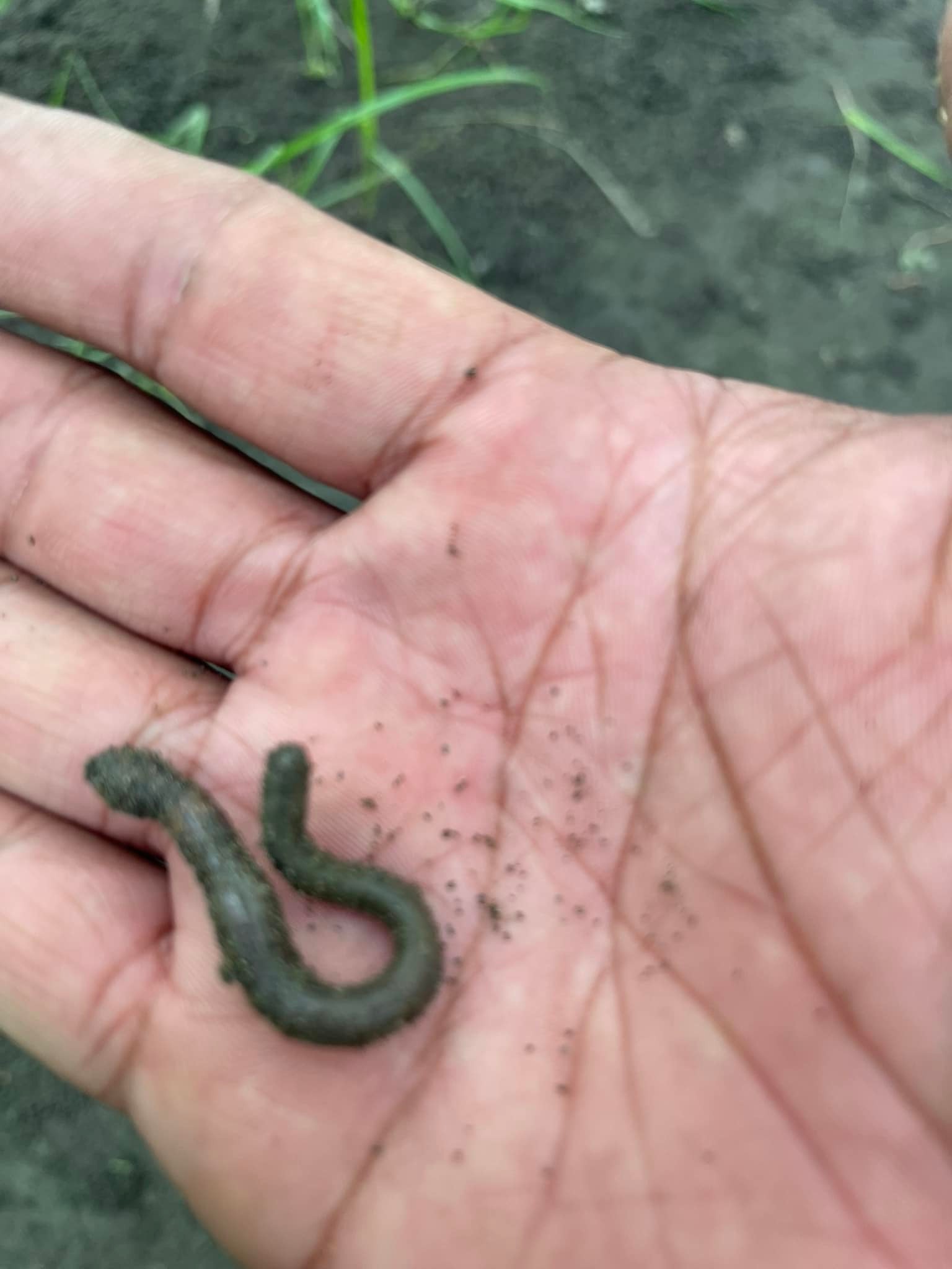 自然生態好鄰居