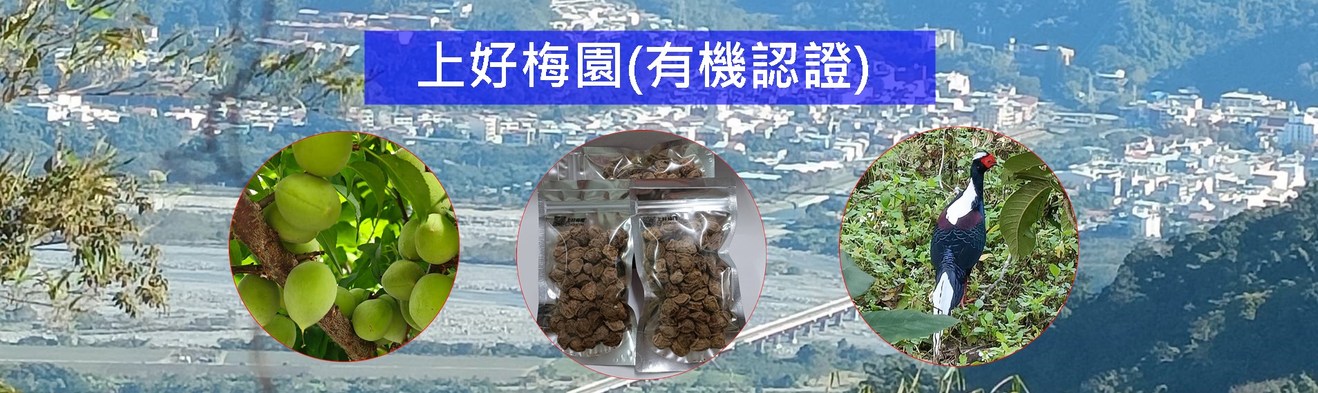 上好梅園(有機認證)-農產品