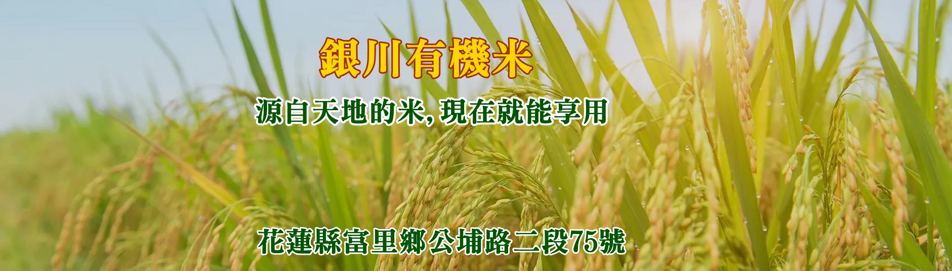 銀川永續農場-米