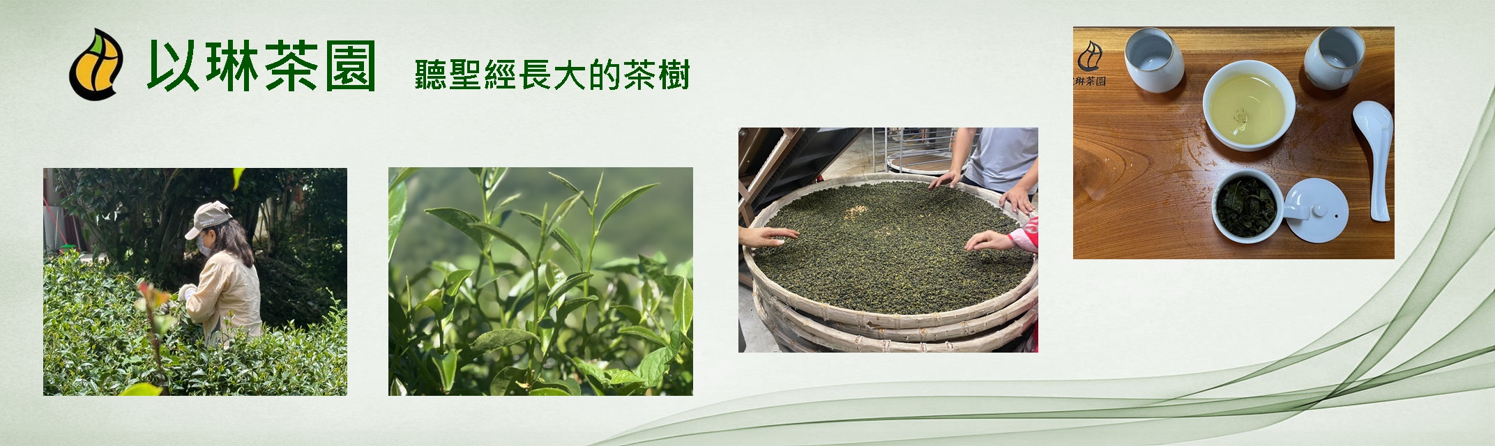 以琳茶園-有機農產品