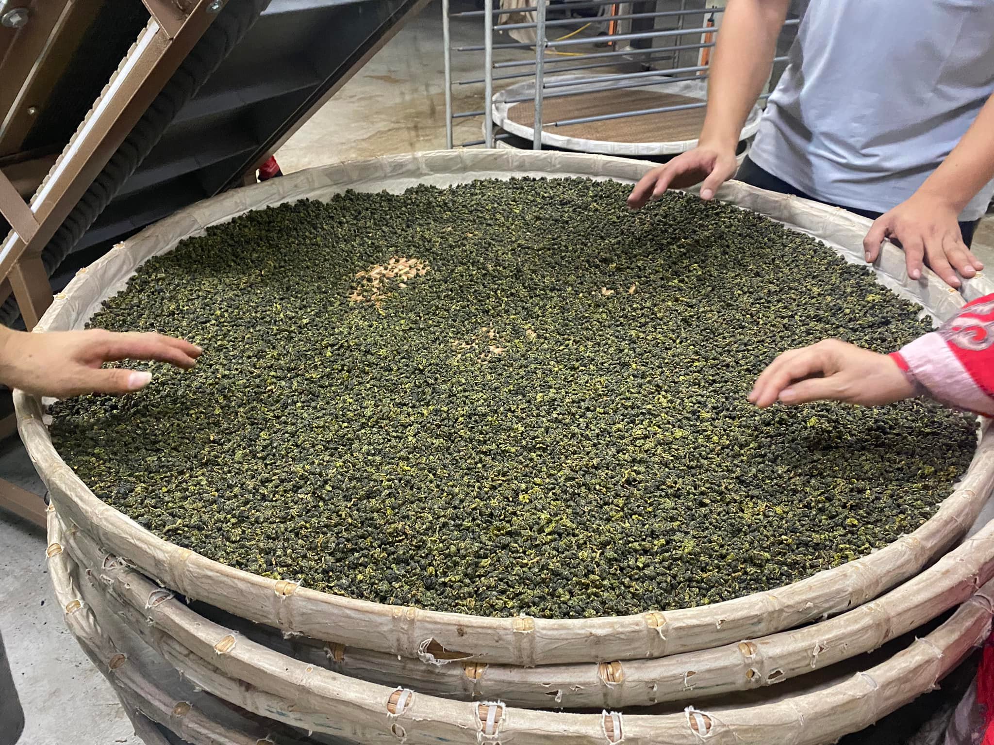 以琳茶園-有機農產品