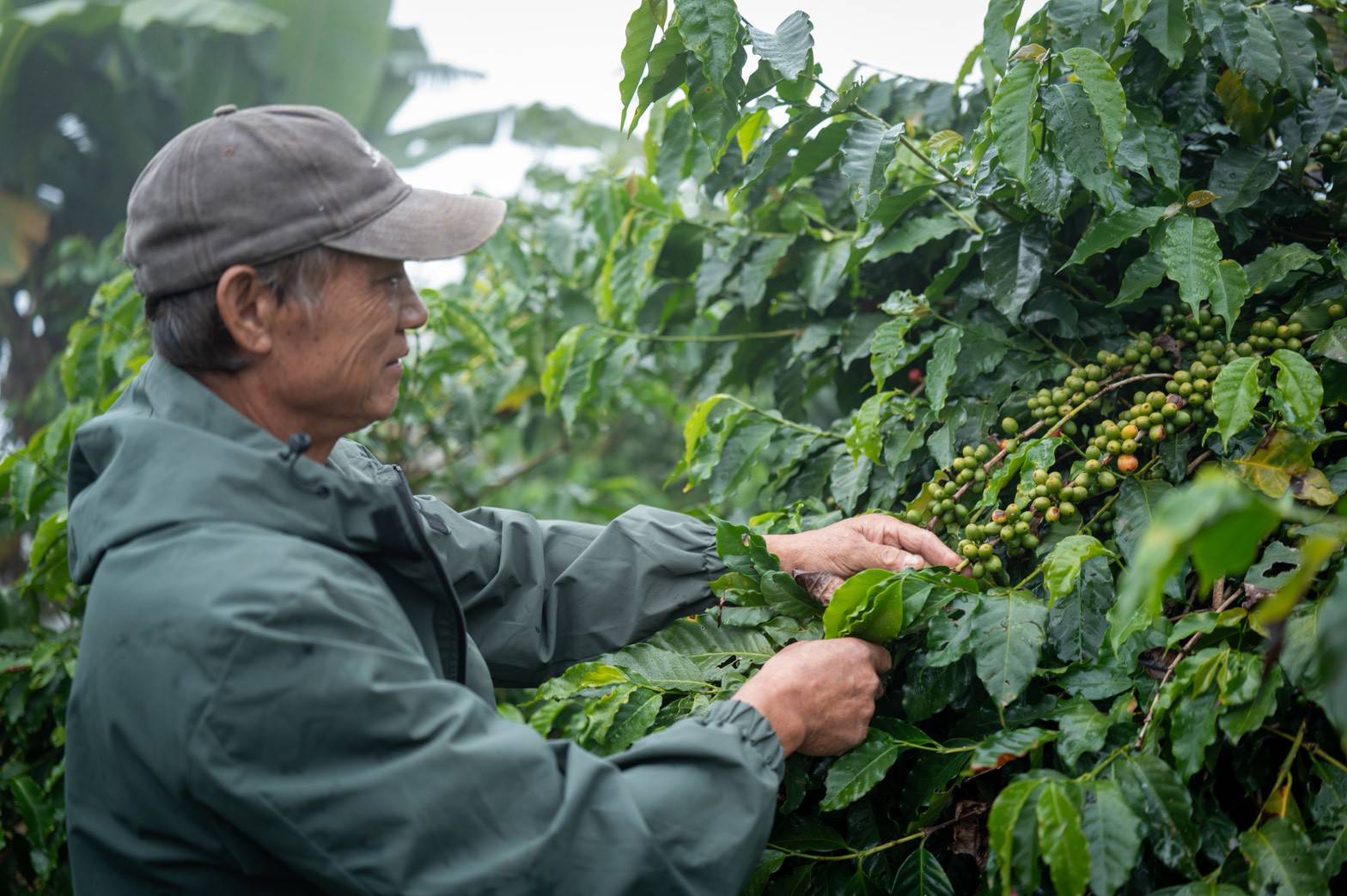蔚叔有機農場-有機農產品