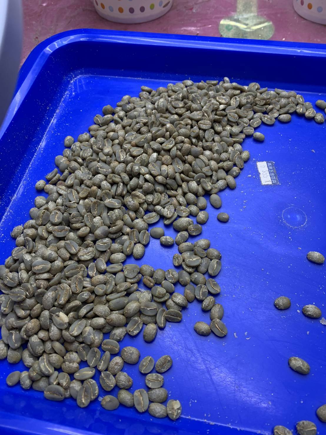 咖啡果有機栽種