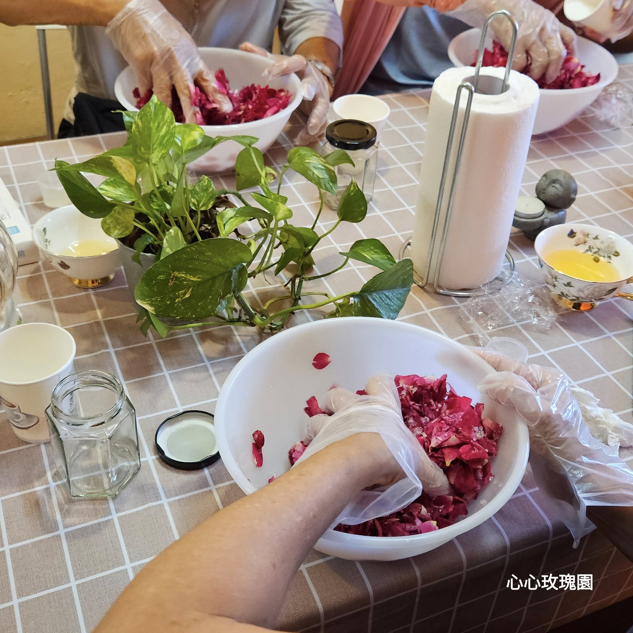 心心玫瑰園-有機農產品