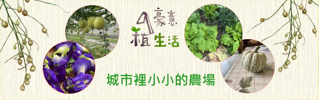 豪意植生活-有機農產品