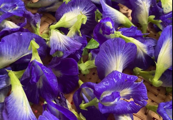 豪意植生活-有機農產品