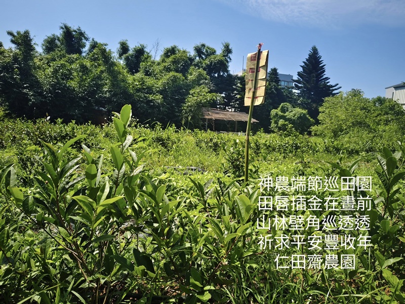 仁田齋茶園-有機農產品