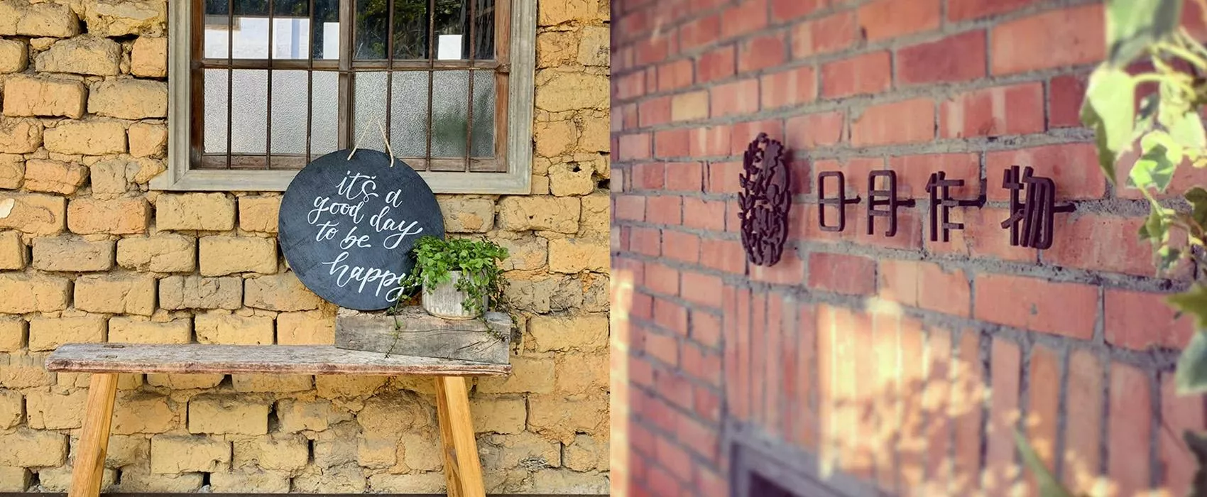 日月作物-農產品