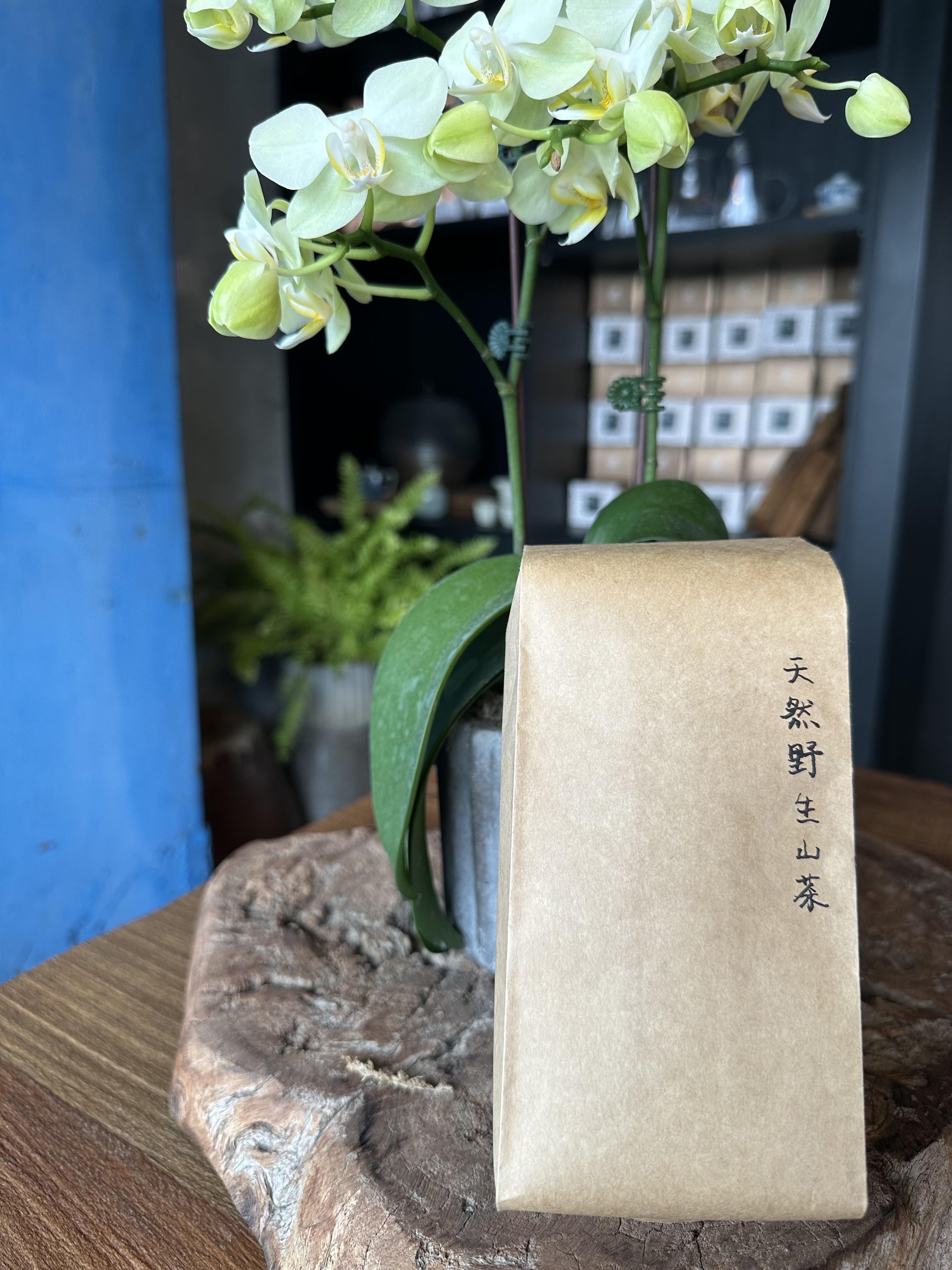 台灣野生山茶Camellia