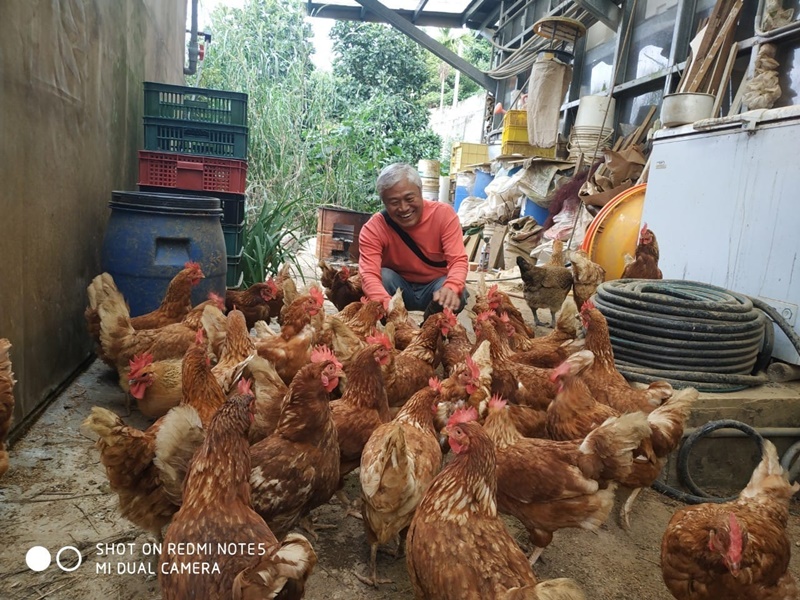 石門有機農場-農產品