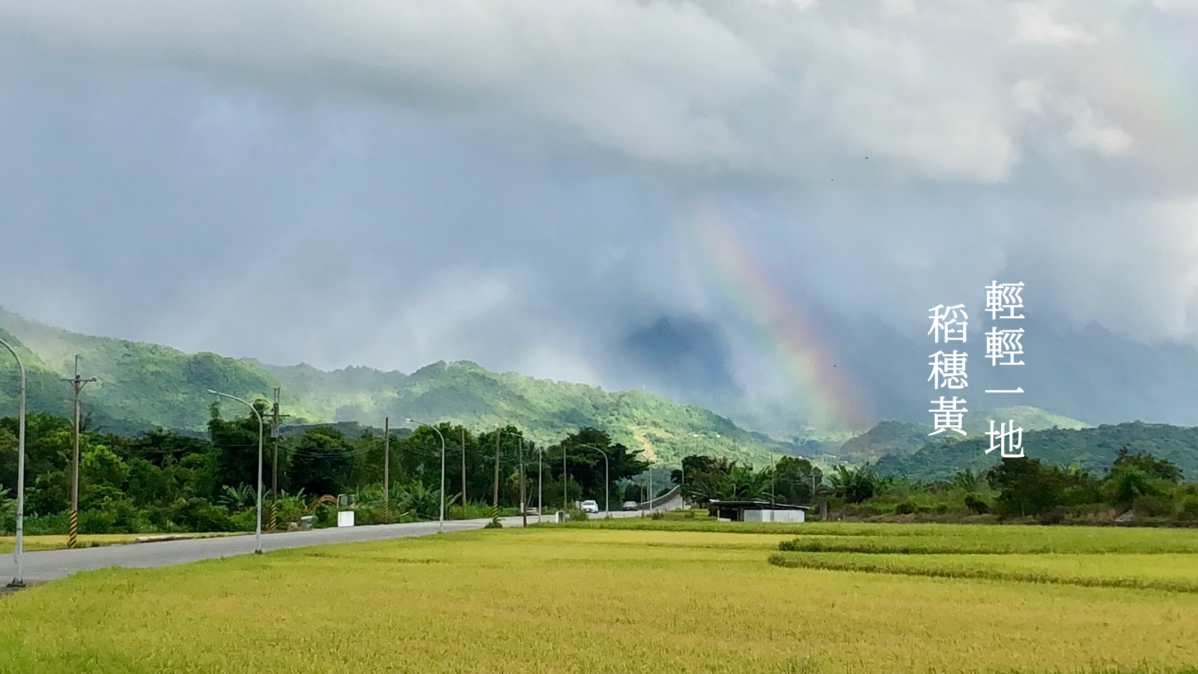 年昌碾米廠-農產品