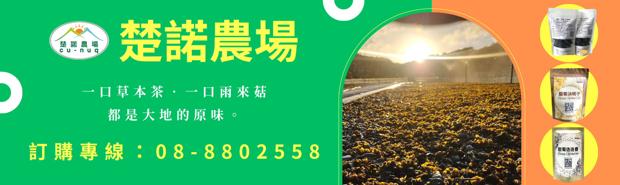 楚諾農場-屏東雨來菇｜屏東名產｜草本茶-農產品