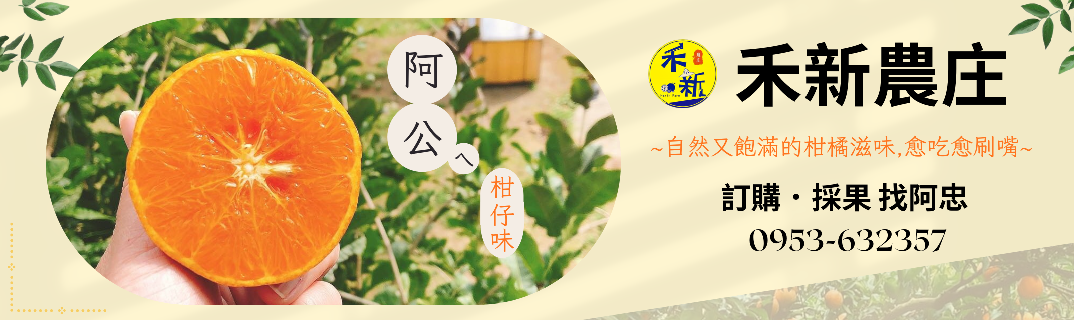 禾新農庄-苗栗椪柑｜苗栗橘子園｜大湖採果-農產品