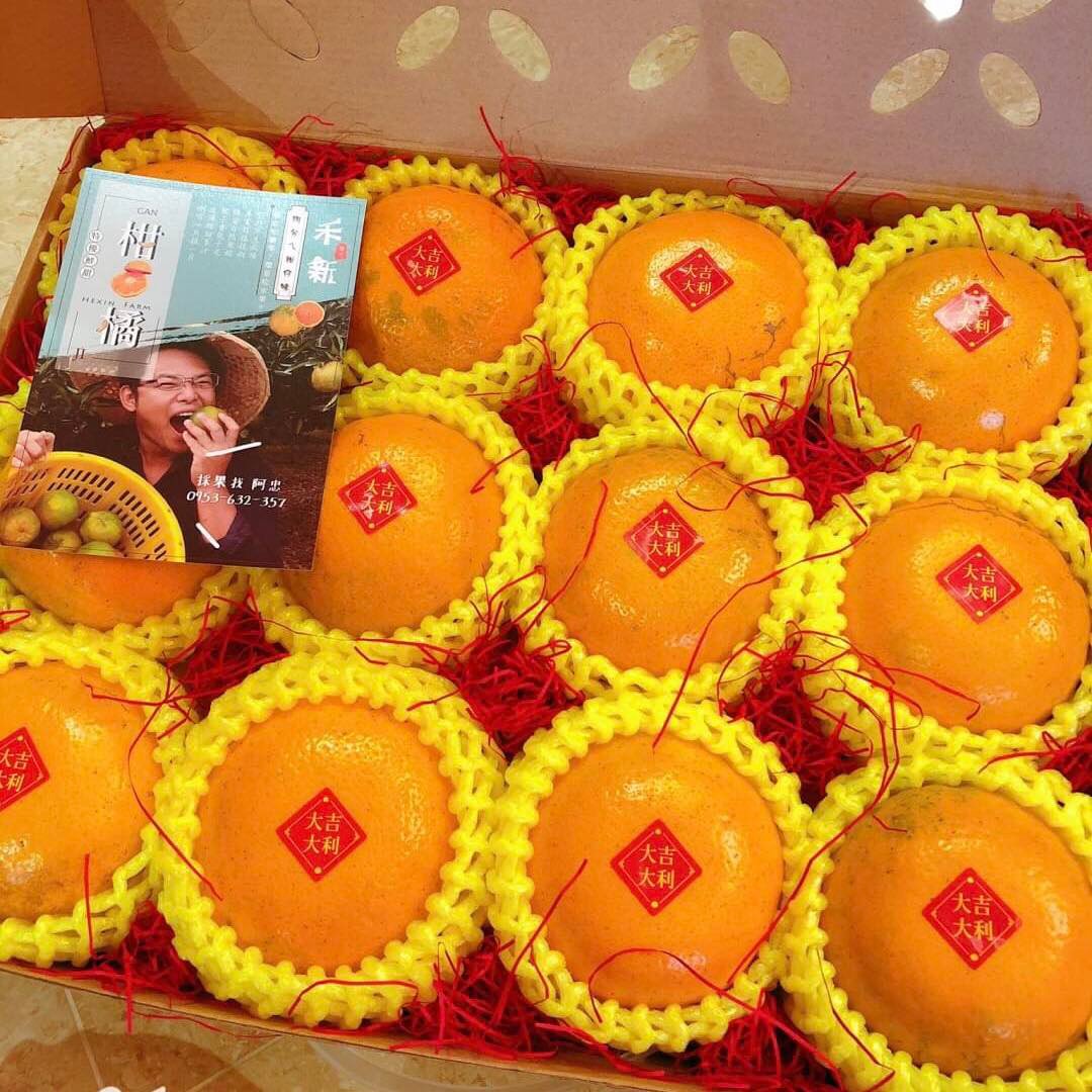 柑橘禮盒-椪柑/茂谷柑/各式柑橘