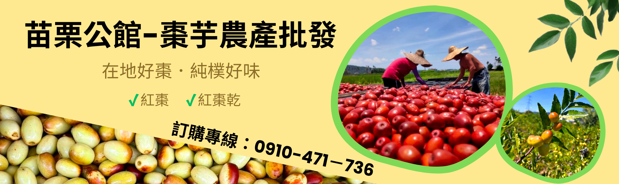 苗栗公館-棗芋農產批發｜紅棗｜紅棗乾｜紅棗批發-農產品