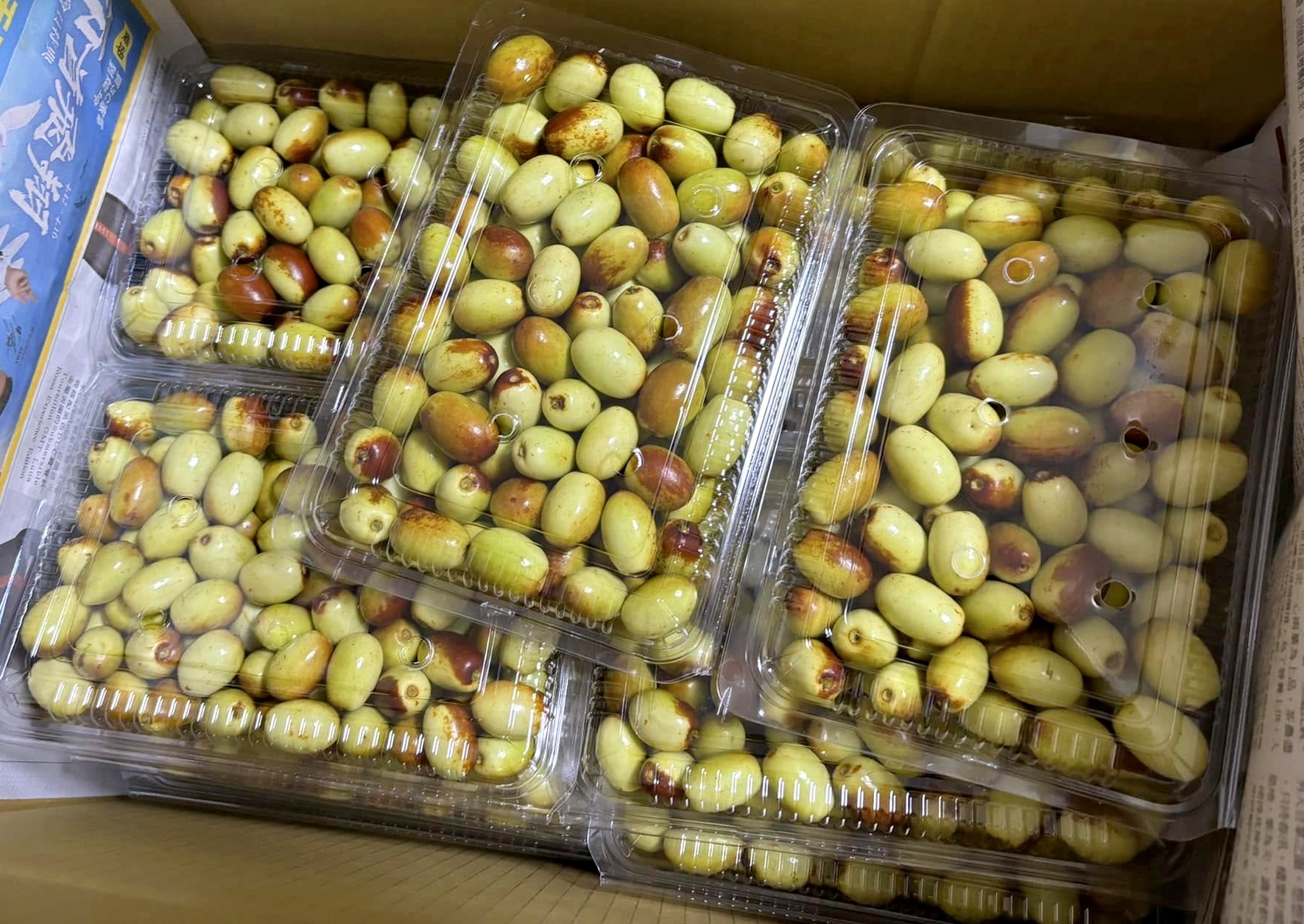 紅棗批發｜紅棗零售｜新鮮紅棗