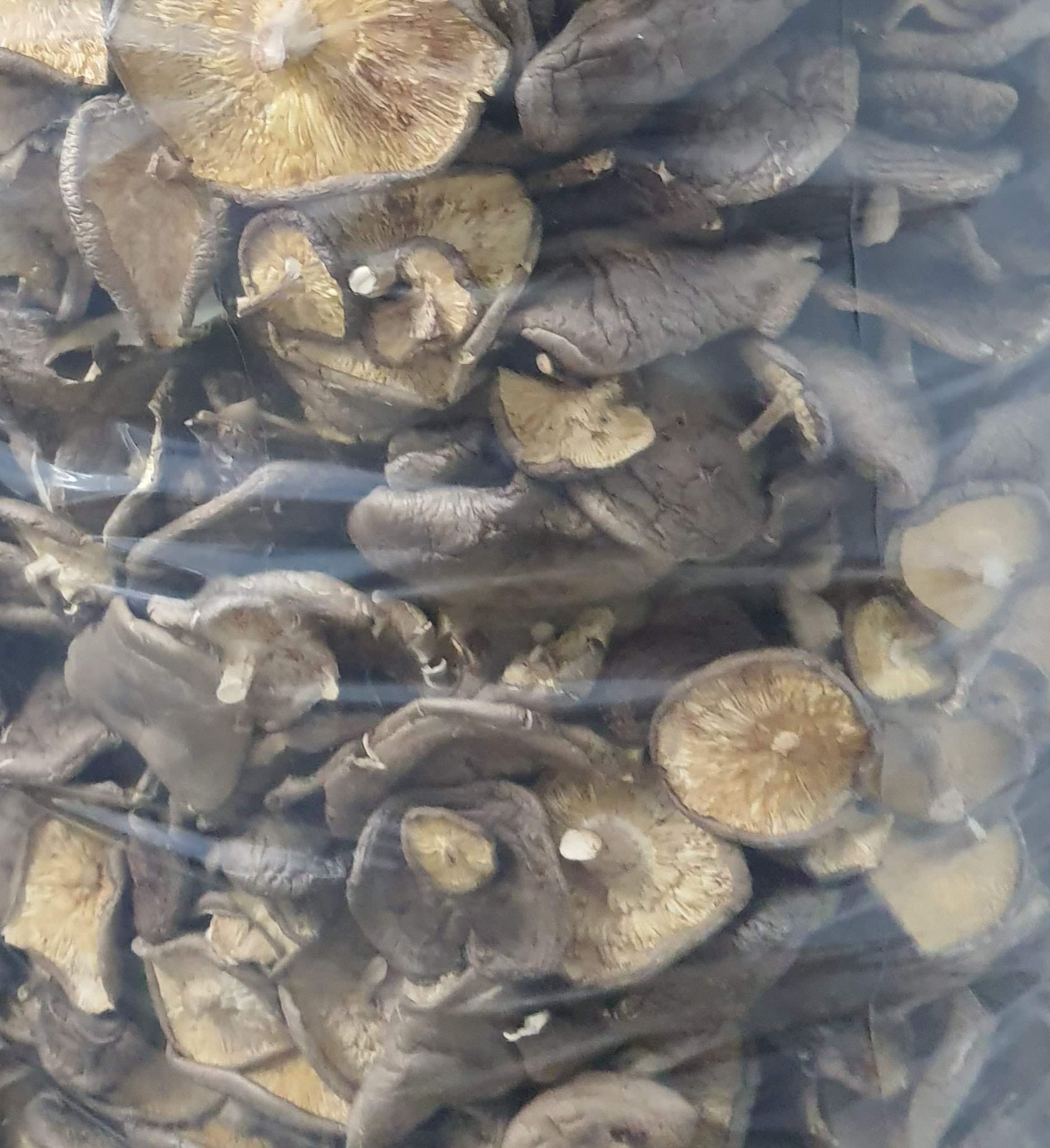 超值NG菇（大小不一，菇體有破損，不影響風味）