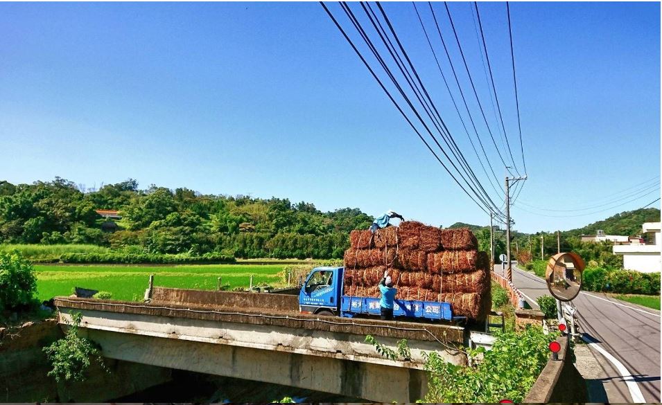 裕大關西仙草茶-裕大仙草茶｜裕大燒仙草-農產品