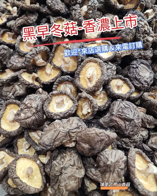 黑早冬菇