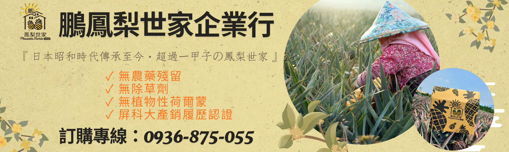 鵬鳳梨世家企業行-金鑽鳳梨｜宅配鳳梨-農產品