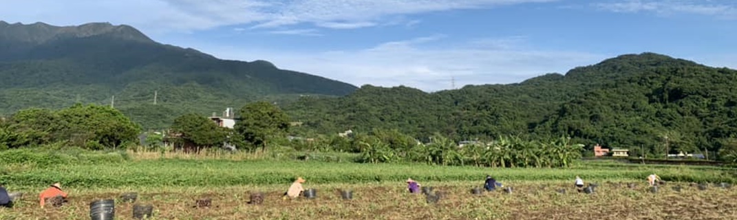 陳家農舍-農產品