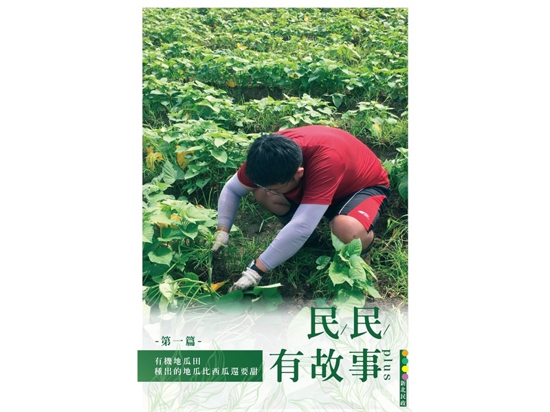 陳家農舍-農產品