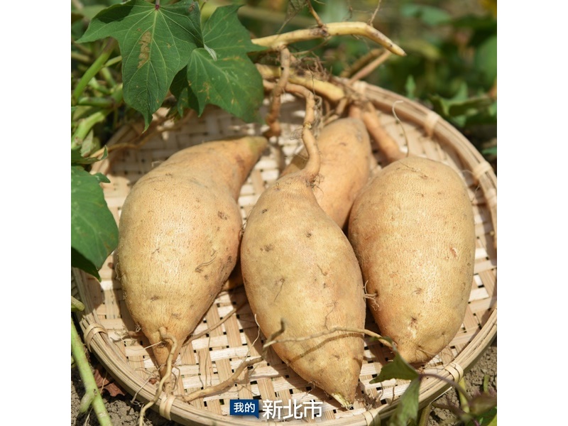 陳家農舍-農產品