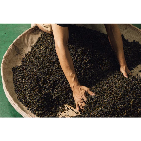 CMB無毒高山烏龍茶｜春茶（毛茶、粗製茶30斤大袋裝）