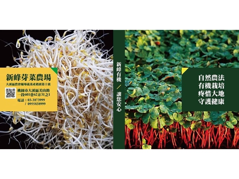 新峰有機芽菜農場-農產品
