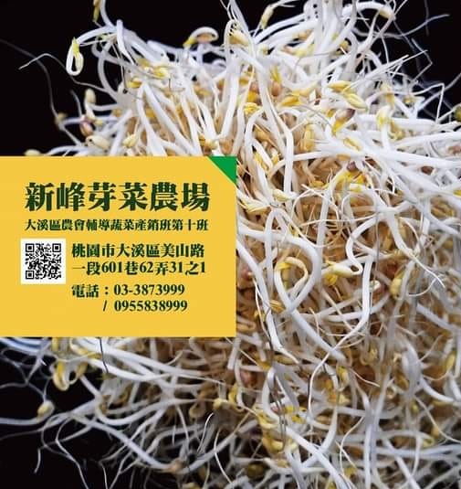 新峰有機芽菜農場